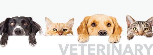 compendium of veterinary products